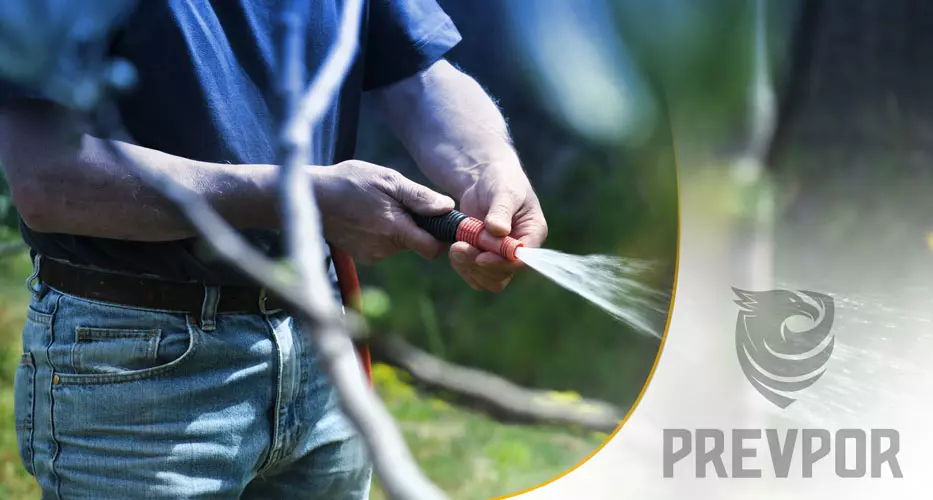 Contrate serviço de jardinagem em Portugal